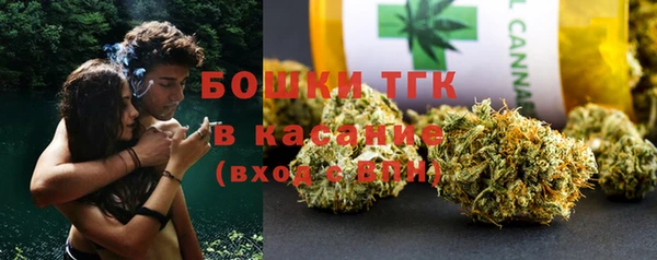 гашик Аркадак